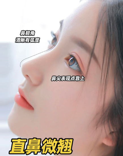 2023年主流爆款鼻型：直鼻微翹、高挺直鼻、微駝峰華麗鼻、媽生自然鼻哪個更好看